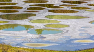 Bing wallpaper August 26, 2020. Spotted Lake in the Okanagan region of British Columbia, Canada (© Galyna Andrushko/Shutterstock)