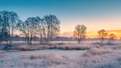 Bing wallpaper December 17, 2025. Schneebedecktes Feld bei Sonnenuntergang, Ostfriesland, Niedersachsen (© photo art/500px/Getty Images)