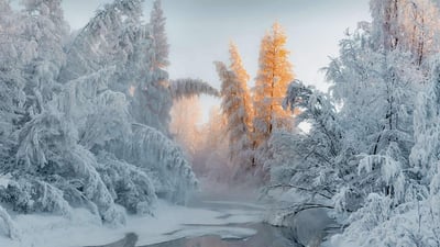 Bing wallpaper February 6, 2022. Winter in Oymyakon, Russia (© Alexandr Berdicevschi/Getty Images)