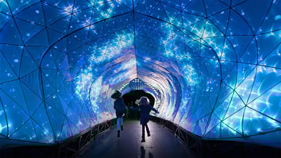 Bing wallpaper May 23, 2019. ｢タロンガ動物園のライトアップ｣オーストラリア, シドニー (© Wendell Teodoro/REX/Shutterstock)