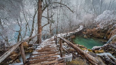 Bing wallpaper December 6, 2020. Elevated path in Plitvice Lakes National Park, Croatia (© Alessandro Laporta/Offset by Shutterstock)