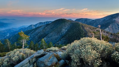 Bing wallpaper June 7, 2025. Summit of Pine Mountain, Angeles National Forest, California (© Matthew Kuhns/TANDEM Stills + Motion)