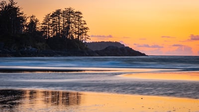 Bing wallpaper March 14, 2026. Réserve de parc national Pacific Rim, Île de Vancouver, Canada (© EmilyNorton/Getty Images)