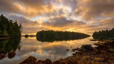 Bing wallpaper April 3, 2024. Broken Group Islands, Pacific Rim National Park Reserve, Vancouver Island, British Columbia (© Ron Watts/Design Pics/Getty Images)