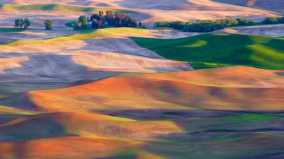 Bing wallpaper July 30, 2023. Farmland in the Palouse, Washington (© EJ-J/Getty Images)