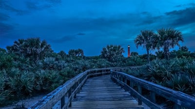 Bing wallpaper April 2, 2020. Looking inland from Ponce de León Inlet toward the lighthouse, Florida (© Jason Sponseller/Shutterstock)