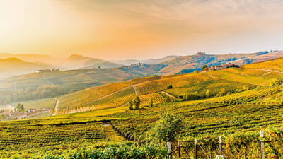 Bing wallpaper November 9, 2020. Vineyards near Barolo, Piedmont, Italy (© Marco Arduino/eStock Photo)