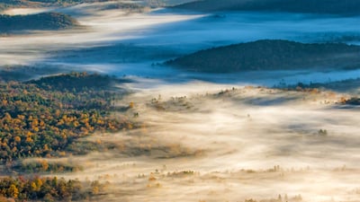 Bing wallpaper October 16, 2020. ｢ピスガ国立森林｣米国ノースカロライナ州, ブレバード (© Adam Jones/Danita Delimont)