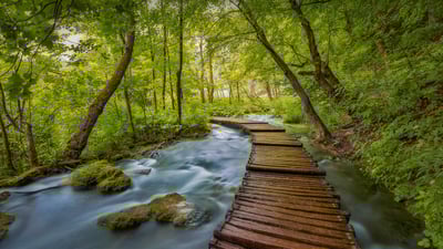 Bing wallpaper April 19, 2022. Plitvice Lakes National Park, Croatia (© Janne Kahila/Getty Images)