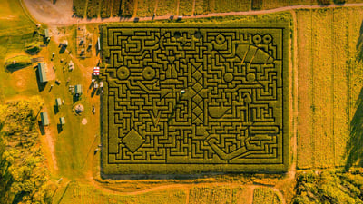 Bing wallpaper October 23, 2023. Corn maze in Saylorsburg, Pennsylvania (© Alex Potemkin/Getty Images)