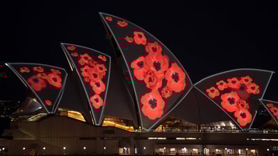 Bing wallpaper November 10, 2020. Poppies projected on the Sydney Opera House sails to mark Remembrance Day (© James D. Morgan/Getty Images)