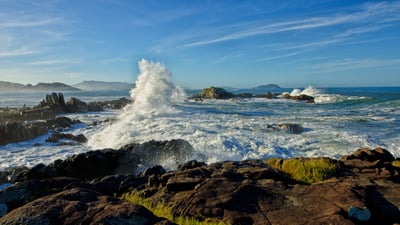 Bing wallpaper November 28, 2025. Praia da Armação, Florianópolis, Santa Catarina (© André Damasco/Getty Images)
