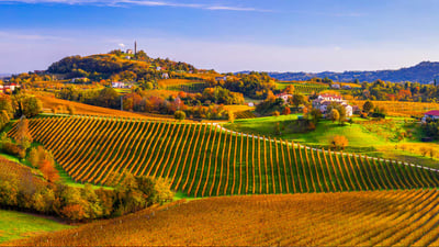 Bing wallpaper March 10, 2024. Prosecco Hills of Conegliano and Valdobbiadene, Veneto, Italy (© Olimpio Fantuz/eStock Photo)