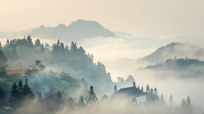 Bing wallpaper April 3, 2021. 【今日清明】（ © yangphoto ）
