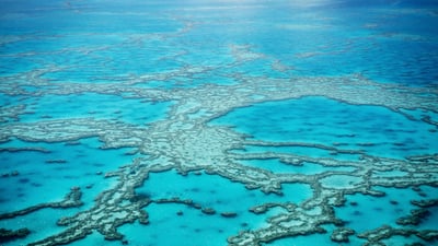 Bing wallpaper May 10, 2026. Vue aérienne de la Grande Barrière de Corail, Queensland, Australie (© Francesco Riccardo Iacomino/Getty Images)