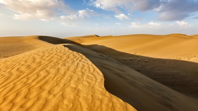 Bing wallpaper January 20, 2026. Sand dunes in the Thar Desert, Rajasthan (© f9photos/iStock/Getty Images)
