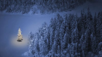 Bing wallpaper December 24, 2021. Christmas tree at Weissensee, a small lake near Ehrwald in Tyrol, Austria (© nagelestock/Alamy)