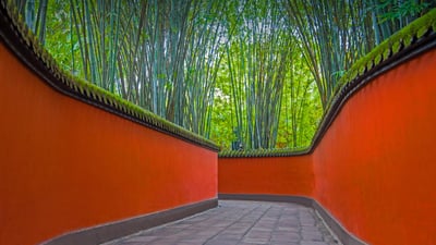 Bing wallpaper May 29, 2021. Alley and bamboo grove in Wuhou Temple, Chengdu, Sichuan province, China (© Eastimages/Getty Images)