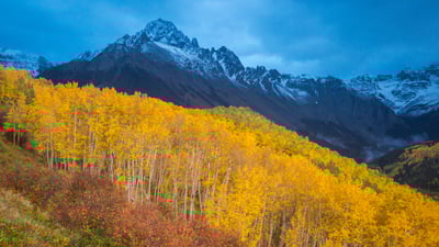 Bing wallpaper October 7, 2025. Fall colors below Mount Sneffels near Ridgway, Colorado (© Grant Ordelheide/TANDEM Stills + Motion)