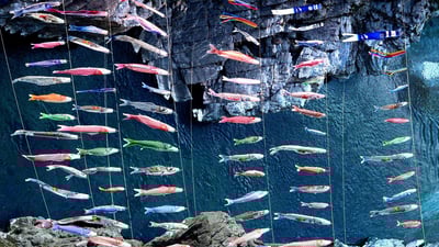 Bing wallpaper May 4, 2020. ｢大歩危峡のこいのぼり｣徳島県, 三好市 (© Photo by The Asahi Shimbun via Getty Images)
