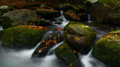 Bing wallpaper October 10, 2020. ｢ロアリング・フォーク｣米国テネシー州, グレート・スモーキー山脈国立公園 (© Bernie Kasper/Getty Images)