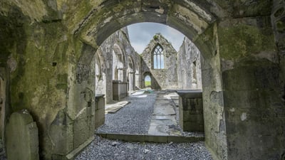 Bing wallpaper August 16, 2026. Ruins of Ross Errilly Friary, County Galway, Ireland (© Maria Janus/Shutterstock)