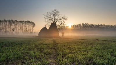 Bing wallpaper June 13, 2023. A field with thatched-roof huts, Punjab, India (© Jatin Malhotra/500px/Getty Images)