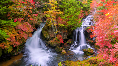 Bing wallpaper October 7, 2025. 竜頭の滝, 栃木県 日光市 (© kecl/Getty images)