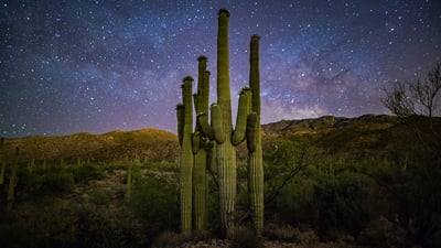 Bing wallpaper October 14, 2021. Saguaro 'family' and Milky Way, Saguaro National Park, Arizona (© Christian Foto Az/Shutterstock)