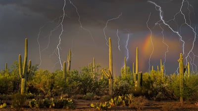 Bing wallpaper August 3, 2020. Lightning storm in the Tortolita Mountain foothills, north of Tucson, Arizona, in the Sonoran Desert (© Jack Dykinga/Minden Pictures)