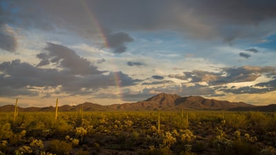 Bing wallpaper April 3, 2025. Rainbow over Wasson Peak, Saguaro National Park, Arizona (© Frank Staub/Getty Images)