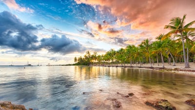 Bing wallpaper August 2, 2024. Sunset over Anse Champagne beach in Saint-François, Guadeloupe, Caribbean (© Fyletto/Getty Images)
