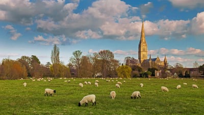 Bing wallpaper April 28, 2020. Salisbury Cathedral with flock of grazing sheep, England (© Slawek Staszczuk Photo/Alamy)