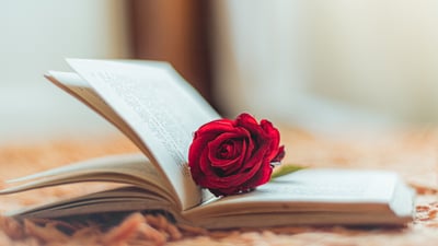 Bing wallpaper April 22, 2026. Rosa roja dentro de un libro abierto (© Albert Cabezas/Getty Images)
