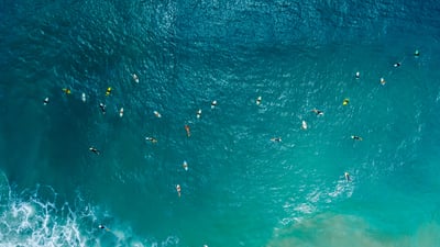 Bing wallpaper August 29, 2026. Aerial view of surfers, Santa Catarina, Brazil (© Wonderful Nature/Shutterstock)
