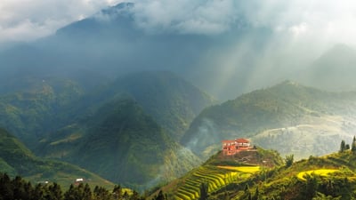 Bing wallpaper July 9, 2026. Rice fields at Sapa, Lào Cai, Vietnam (© Anujak Jaimook/Getty Images)