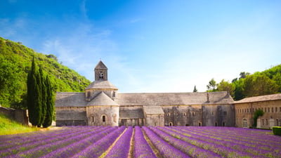 Bing wallpaper July 3, 2024. Abbaye Notre-Dame de Sénanque, Gordes, Provence (© Brzozowska/Getty Images)