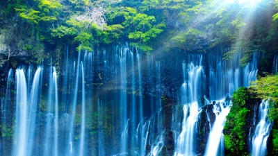 Bing wallpaper August 20, 2020. ｢白糸の滝｣静岡, 富士宮市 (© SHOSEI/Aflo)