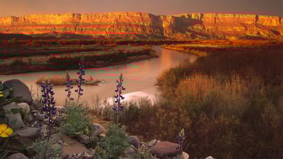 Bing wallpaper June 12, 2022. Cliffs of the Sierra Ponce and Rio Grande, Big Bend National Park, Texas (© Tim Fitzharris/Minden Pictures)