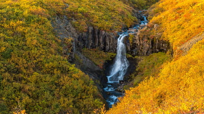 Bing wallpaper September 24, 2024. Waterfall in Skaftafell, Vatnajökull National Park, Iceland (© Nopasorn Kowathanakul/Getty Images)