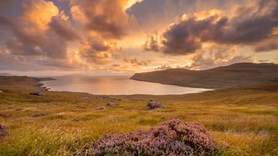 Bing wallpaper October 3, 2025. Heather growing in Glen Brittle, Isle of Skye, Scotland (© Adam Mowery/TANDEM Stills + Motion)