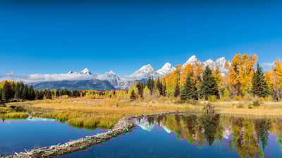 Bing wallpaper November 22, 2023. Grand Teton National Park, Wyoming (© Westend61/Getty Images)