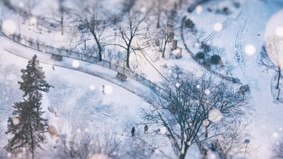 Bing wallpaper February 25, 2020. Snowy day in Toronto, Canada (© Katrin Ray Shumakov/Getty Images)