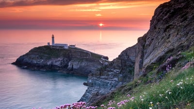 Bing wallpaper August 20, 2020. South Stack Lighthouse and coastal wildflowers at sunset, Anglesey (© Alan Novelli/Alamy Stock Photo)