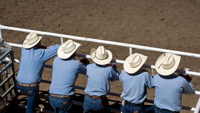 Bing wallpaper July 5, 2019. Spectators at the annual Calgary Stampede (© Pete Ryan/Getty Images)