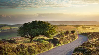 Bing wallpaper September 16, 2019. Stoke Pero Common, Exmoor National Park, England, UK (© David Noton/Alamy)