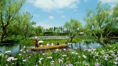 Bing wallpaper June 1, 2021. ｢水郷佐原あやめパーク｣ 千葉県香取市 (© MIXA/Getty Images)