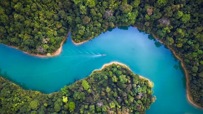 Bing wallpaper March 5, 2025. Aerial view of Khao Sok National Park, Surat Thani, Thailand (© Peetatham Kongkapech/Getty Images)