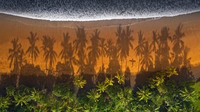 Bing wallpaper June 15, 2020. Surfer on the beach in Medewi, Bali, Indonesia (© helivideo/Getty Images)
