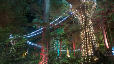 Bing wallpaper December 12, 2025. Illuminated Capilano Suspension Bridge Park, Vancouver, British Columbia (© Brian Caissie/Getty Images)